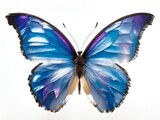 Fototapeta Motyle - Crystal Cascade Butterfly
