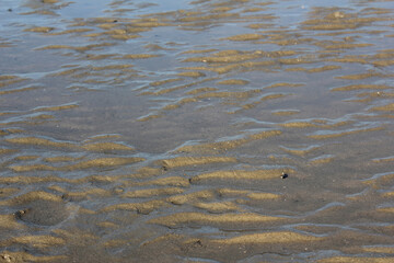 Wall Mural - Structures in the sand in back-lighting