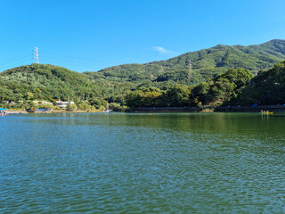 Canvas Print - A lake with water sparkling in the sunlight.
