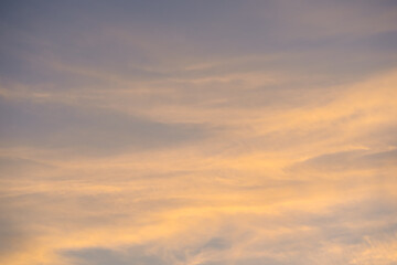 Wall Mural - nature and landscape concept with twilight and cloudy sky background on the morning with large tree