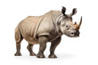 Rhinoceros isolated on white background.generative ai
