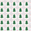beautiful colorful Christmas background with green spruce
