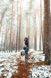 Woman with springer spaniel dog on hiking path in deep forest. Winter, snowe covered trees. Winter forest landscape..