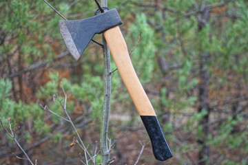 one large brown black ax hanging on a thin gray branch of a bush on the street in nature