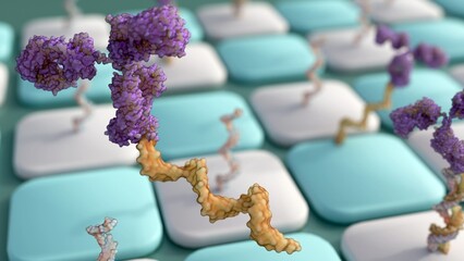 antibody-oligonucleotide conjugates or aoc use in antibody arrays; 3d rendering
