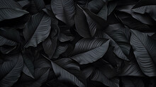 Closeup Tropical Black Leaves Texture And Dark Tone Process, Abstract Nature Pattern Background