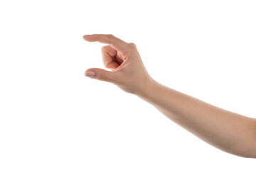 Wall Mural - Young woman hand to hold something with two fingers isolated on white background