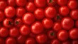 Seamless Pattern of Cherry Tomatoes Wallpaper Background Template Fresh Organic Fruits Good Health Wellbeing Lifestyle Dieting Veggie Concept Closeup Sharp Focus Presentation Slides Copy Space 16:9 