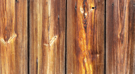 Poster - The old wood texture with natural patterns