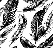 Feather Hand Draw Vector Graphic Asset