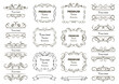 © Ms VectorPlus - Calligraphic design elements . Decorative swirls or scrolls, vintage frames , flourishes, labels and dividers