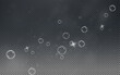 Realistic soap vector bubbles png isolated on transparent background. The effect of falling and flying bubbles. Glass bubble effect. 