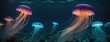 jelly fish in the aquarium.a bioluminescent jellyfish illuminating a dark and mysterious underwater landscape panaromic