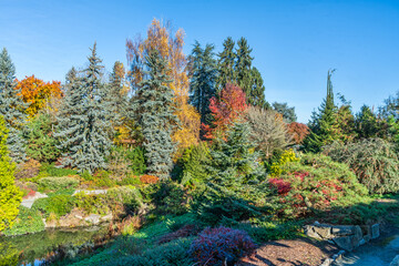 Kubota_Autumn_Trees 2