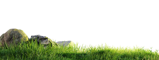 Aufkleber - Rock stone with grass fields meadow PNG transparent file, 3d illustration rendering 
