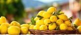 Fototapeta  - Various types of lemons available at a farmer market in Taormina Sicily Italy Copy space image Place for adding text or design