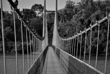 Suspension Bridge Over The River