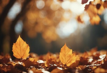 Wall Mural - Falling autumn leaves background