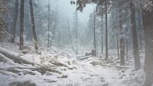 Winter Scenery. Trees In The Winter Snowing Forest In Cartoon Or Anime Illustration Style Video Background