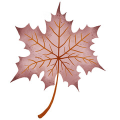 Maple leaf 2