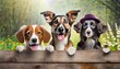 smiling cute dogs of different breeds peek out from behind a wooden fence banner with animals generative ai