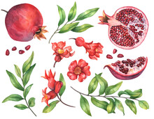 Watercolor Pomegranate Fruit With Flowers And Leaves Isolated On A White Background. Botanical Clipart, Hand Drawn Illustration.