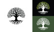 Vector tree of life on white, black and green background