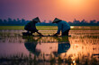 Asian male farmer working in beautiful rice field in sunny morning.