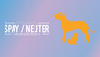 Vector illustration on the theme of Spay and Neuter awareness month observed each year during February.banner, Holiday, poster, card and background design.