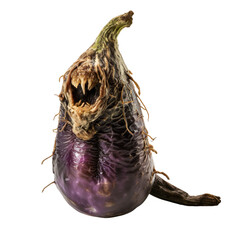 Sticker - front view of a spoil rotten eggplant vegetable isolated on a white transparent background 