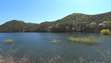 Wall Mural - lake in the mountains