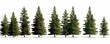 groups of conifer trees isolated on white background, Generative AI