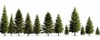 groups of conifer trees isolated on white background, Generative AI