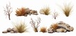 desert collection, dry plants and rocks set, isolated on white background, Generative AI