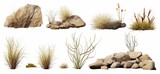 Fototapeta  - desert collection, dry plants and rocks set, isolated on white background, Generative AI