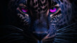 Close up of purple and black leopards face with glow