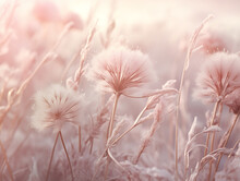 Beautiful Winter Nature Macro Background. Fluffy Stems Of Tall Grass Under The Snow In Winter During Snowfall, Tinted Pink