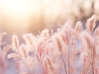 Wall Mural - Beautiful winter nature macro background. Fluffy stems of tall grass under the snow in winter during snowfall, tinted pink