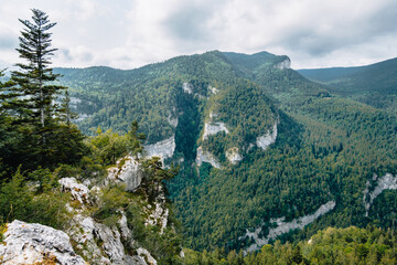 Wall Mural - View on the Alps and the mountains of Vercors mountain range from the hiking trail of the Bourne river canyon in the French Alps (Isere)
