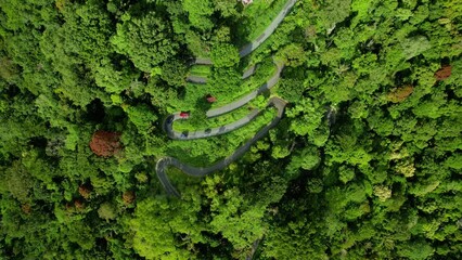 Wall Mural - Establish an aerial view of a winding road in the hills and in the middle of a green forest