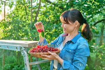 Wall Mural - Happy woman with harvest of red ripe cherries in summer garden