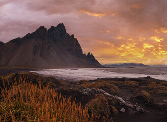 Canvas Print - Sunrise Stokksnes cape sea beach and Vestrahorn Mountain, Iceland. Amazing nature scenery, popular travel destination. Autumn grass on black volcanic sand dunes.