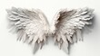 White angel wings isolated on a white background