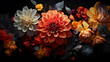 Photo of beautiful flowers on black background, plant documentary, time lapse