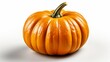 © ProVector - Single mini pumpkin isolated on a white background