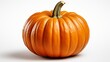 © ProVector - Single mini pumpkin isolated on a white background