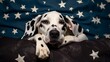 Dalmatian dog lying on her back with paws up wishing for a tummy rub. Dog in bed resting and yawning among pillows with stars pattern. Funny, cute dog's muzzle. Good morning concept. F : Generative AI