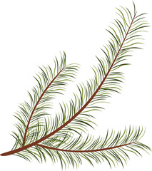 Naklejka na meble beautiful green Christmas tree from a natural forest. branches of greenery needles. Christmas decorations with fir branches. Christmas decoration for the new year - PNG without background