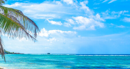 Poster - Palm trees by the sea in Anse Source d'Argent beach