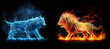 © AlexxxA - The northern wolf of their blue cold energy against the fiery lion from the element of fire, art illustration